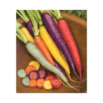 Livingseeds Root Vegetables