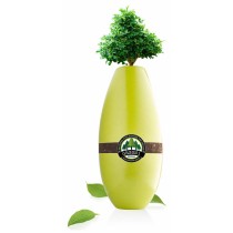 Biotree Urn for Animals