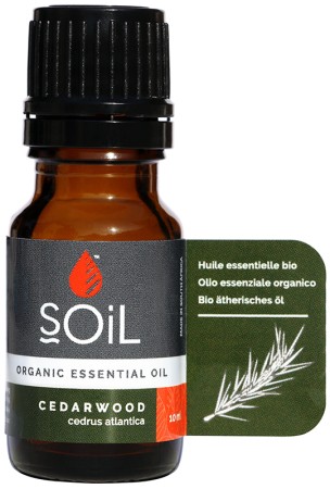 Soil Cedarwood Essential Oil