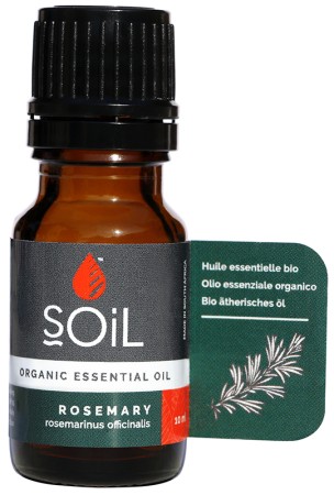 Soil Rosemary Essential Oil