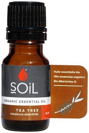 Soil Tea Tree Essential Oil