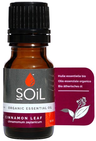 Soil Cinnamon Leaf Essential Oil
