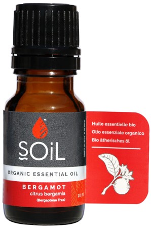 Soil Bergamot Essential Oil