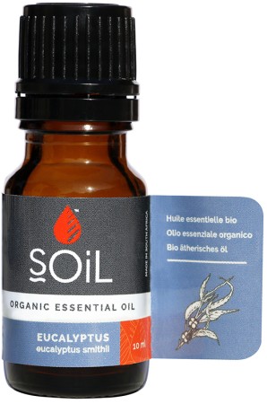Soil Eucalyptus Essential Oil