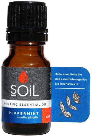 Soil Peppermint Essential Oil