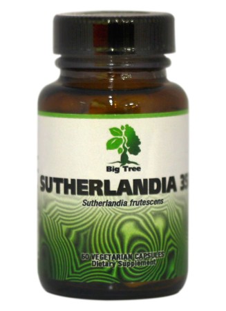 Big Tree Sutherlandia