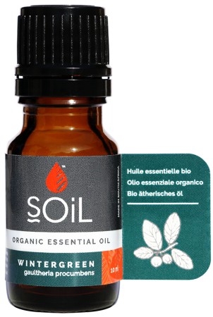Soil Wintergreen Essential Oil