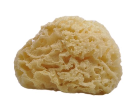 Woman-Kind Natural Honey Comb Bath Sponge