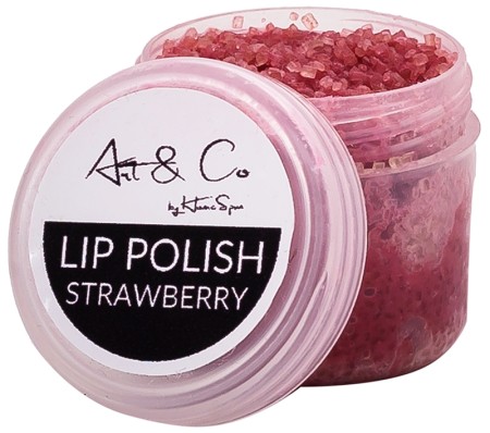 Homespun Apothecary Lip Polish
