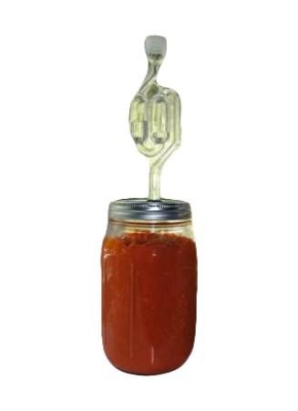 Fermentation Bottle with Airlock & Bung
