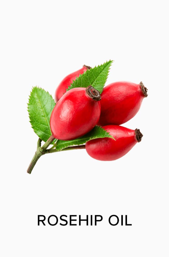 Rosehip Oil